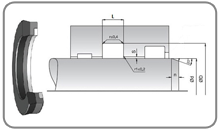 Bogaz Kecesi W037 (W037)