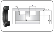 Piston Packing W003 (W003)